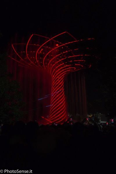 Albero della vita